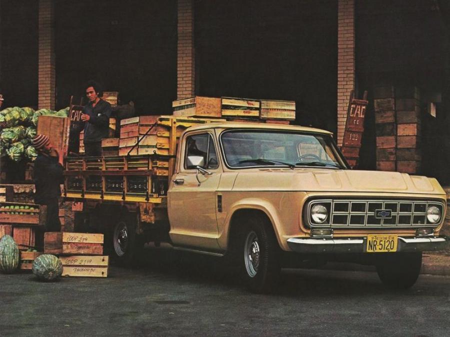  Chevrolet D-10 1979 года  (фото 1 из 1)